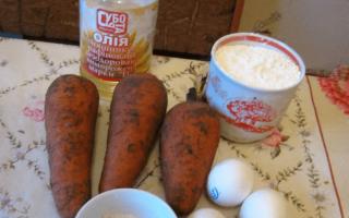 Gekochte Karottenkoteletts sind das leckerste Rezept