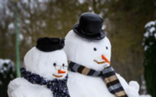 Zašto sanjate Snjegovića (snježnu ženu) prema knjizi snova
