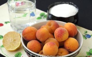 Rezepte für Aprikosen in Sirup