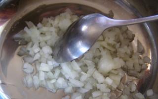 Nudeln mit Gemüse – Schritt-für-Schritt-Rezepte zum Kochen in der Pfanne oder im Ofen Mit welchem ​​Gemüse kann man Nudeln kochen?