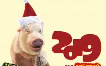 Boar, Pig zodiac sign